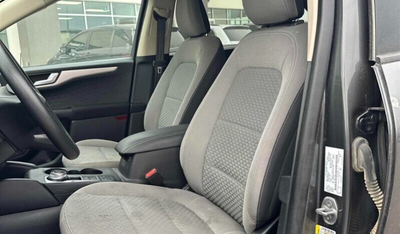 
								2020 Ford Escape SE full									