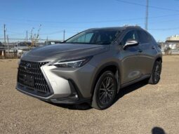 2024 Lexus NX 250