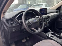 
										2020 Ford Escape SE full									