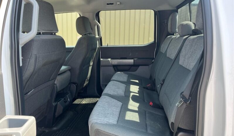 2023 Ford F-250 XLT FX4 full