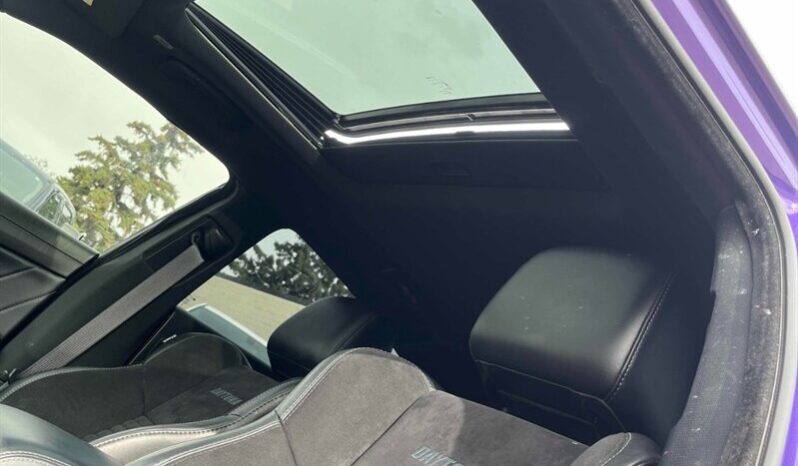
								2023 Dodge Charger R/T Daytona full									