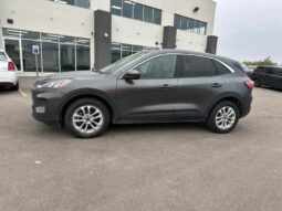 
										2020 Ford Escape SE full									