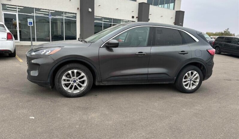 
								2020 Ford Escape SE full									