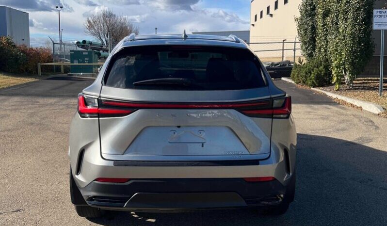 
								2024 Lexus NX 250 full									