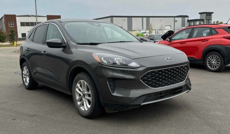 
								2020 Ford Escape SE full									