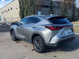 
										2024 Lexus NX 250 full									