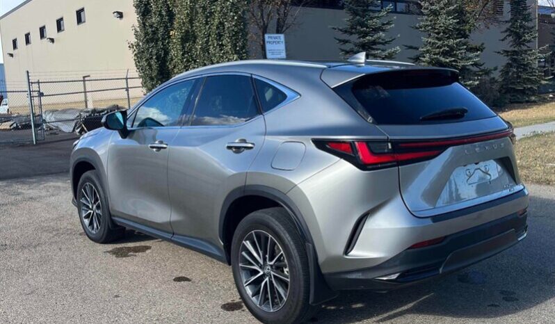 
								2024 Lexus NX 250 full									