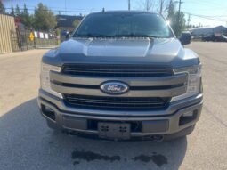 
										2019 Ford F-150 Lariat FX4 full									