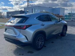 
										2024 Lexus NX 250 full									