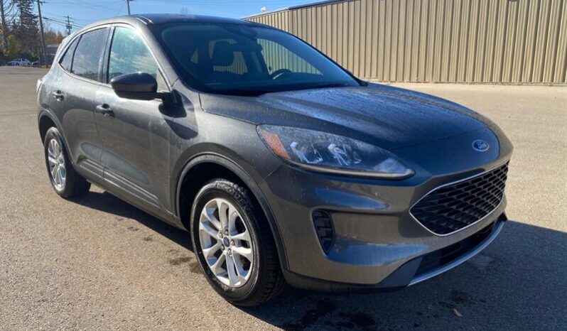 
								2020 Ford Escape SE full									