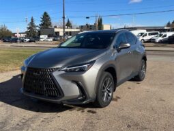 2024 Lexus NX 250