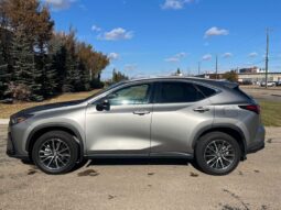
										2024 Lexus NX 250 full									