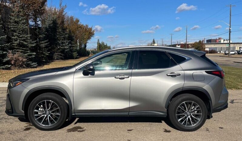
								2024 Lexus NX 250 full									