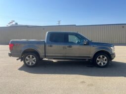 
										2019 Ford F-150 Lariat FX4 full									
