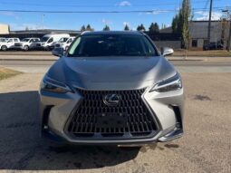 
										2024 Lexus NX 250 full									