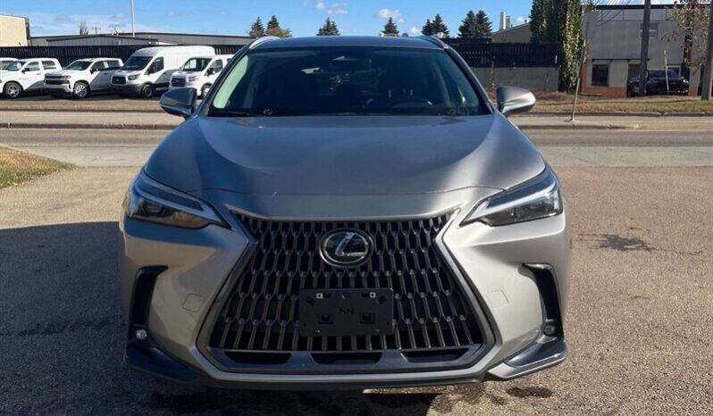 
								2024 Lexus NX 250 full									