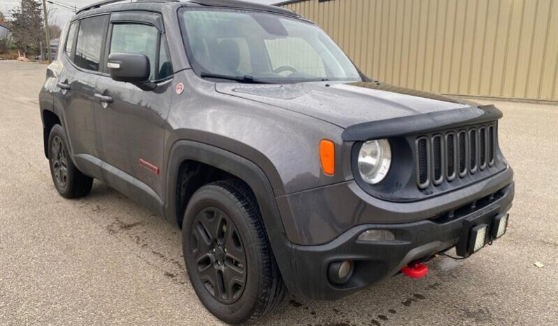
								2018 Jeep Renegade Trailhawk full									
