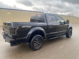 
										2019 Ford F-150 XLT Sport 5.0L full									