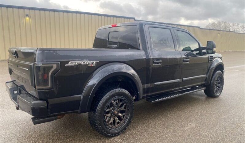 
								2019 Ford F-150 XLT Sport 5.0L full									
