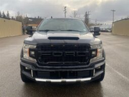 
										2019 Ford F-150 XLT Sport 5.0L full									