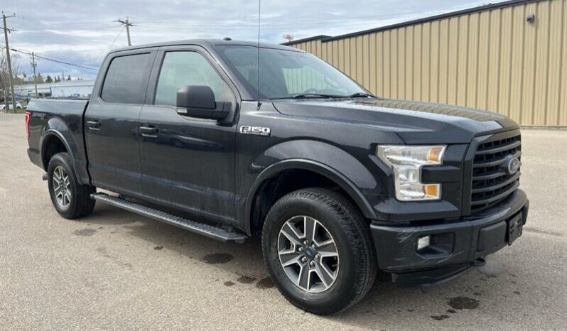 
								2015 Ford F-150 XLT full									