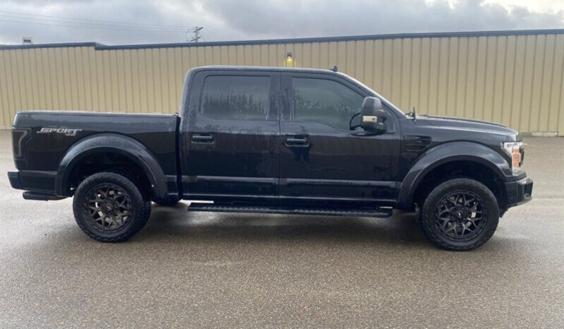 
								2019 Ford F-150 XLT Sport 5.0L full									