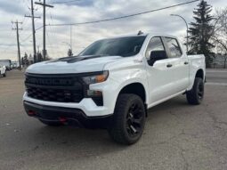 2023 Chevrolet Silverado 1500 Custom Trail Boss Z-71