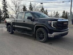 
										2022 GMC Sierra 1500 Pro full									