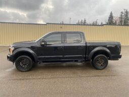 
										2019 Ford F-150 XLT Sport 5.0L full									