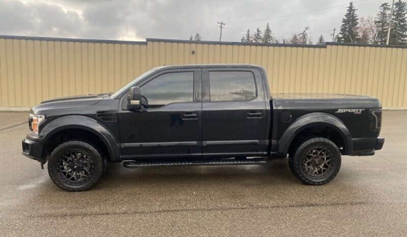 
								2019 Ford F-150 XLT Sport 5.0L full									