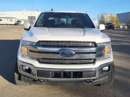 
										2019 Ford F-150 Lariat FX4 full									