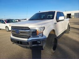 
										2019 Ford F-150 Lariat FX4 full									