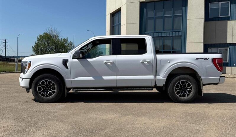 
								2021 Ford F-150 XLT Sport full									