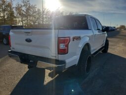 
										2019 Ford F-150 Lariat FX4 full									