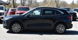 
										2024 Ford Escape Plug-In Hybrid PHEV Premium full									