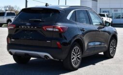 
										2024 Ford Escape Plug-In Hybrid PHEV Premium full									