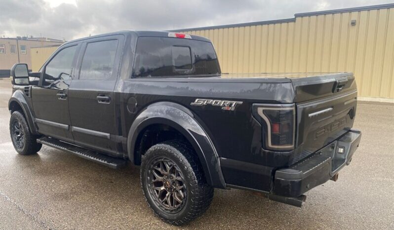 
								2019 Ford F-150 XLT Sport 5.0L full									