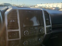 
										2019 Ford F-150 Lariat FX4 full									