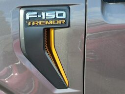 
										2022 Ford F-150 Tremor full									