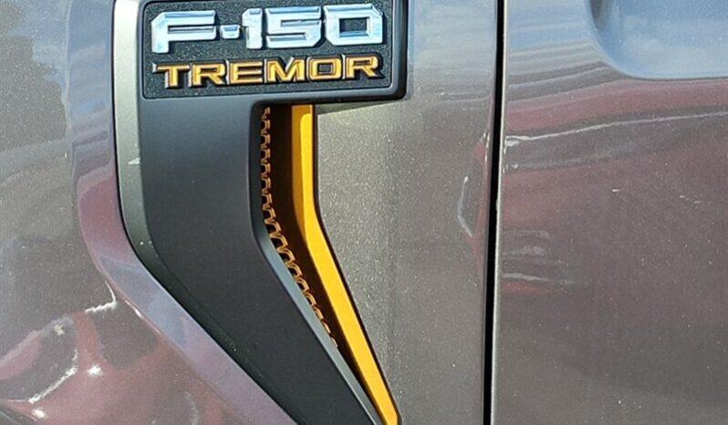 
								2022 Ford F-150 Tremor full									
