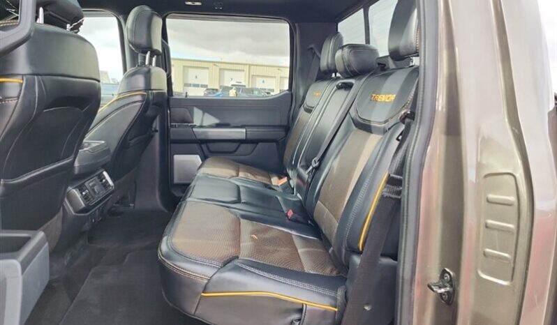 
								2022 Ford F-150 Tremor full									