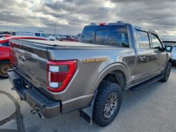 
										2022 Ford F-150 Tremor full									