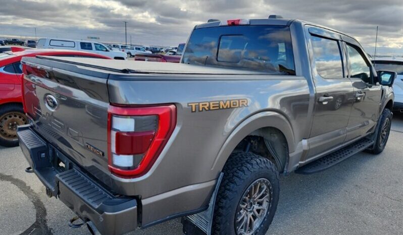 
								2022 Ford F-150 Tremor full									