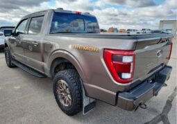 
										2022 Ford F-150 Tremor full									