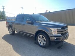 
										2019 Ford F-150 Lariat FX4 full									