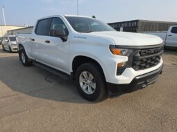 
										2022 Chevrolet Silverado 1500 Work Truck full									