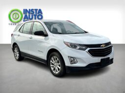 
										2019 Chevrolet Equinox LS full									