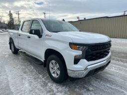 
										2023 Chevrolet Silverado 1500 Work Truck Z-71 full									