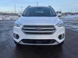 
										2019 Ford Escape SEL full									