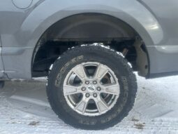 
										2017 Ford F-150 XLT XTR full									